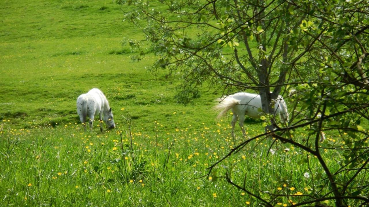 Appaloosa Villa Lormes Kültér fotó